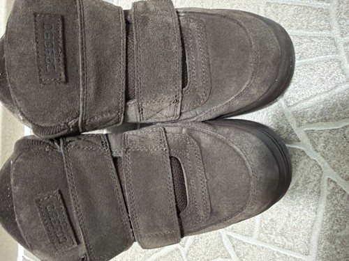 코이세이오 범블 브라운 250